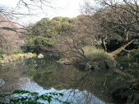 20080111東京十社022a.JPG 名主の滝公園　池